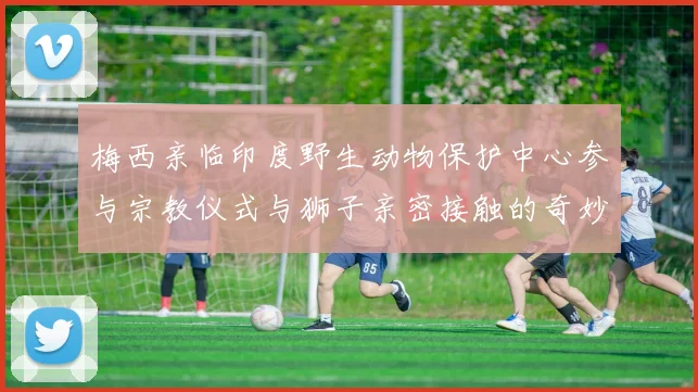 梅西亲临印度野生动物保护中心参与宗教仪式与狮子亲密接触的奇妙体验