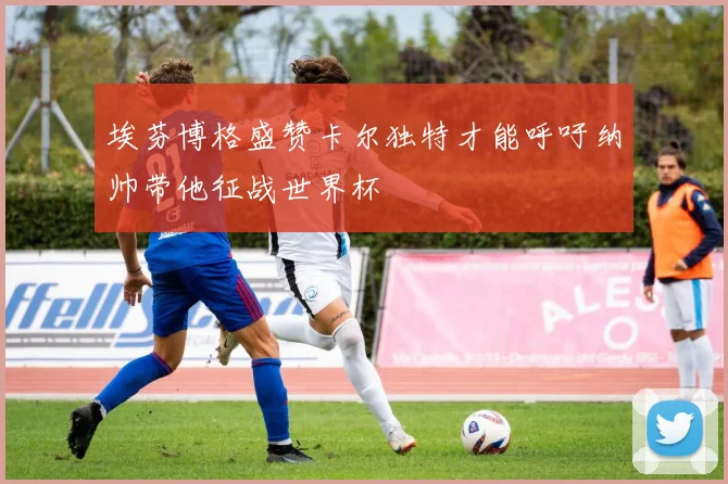 埃芬博格盛赞卡尔独特才能呼吁纳帅带他征战世界杯